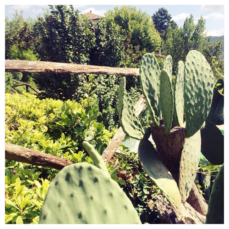Agriturismo La Vecchia Quercia San Cipriano Picentino Luaran gambar