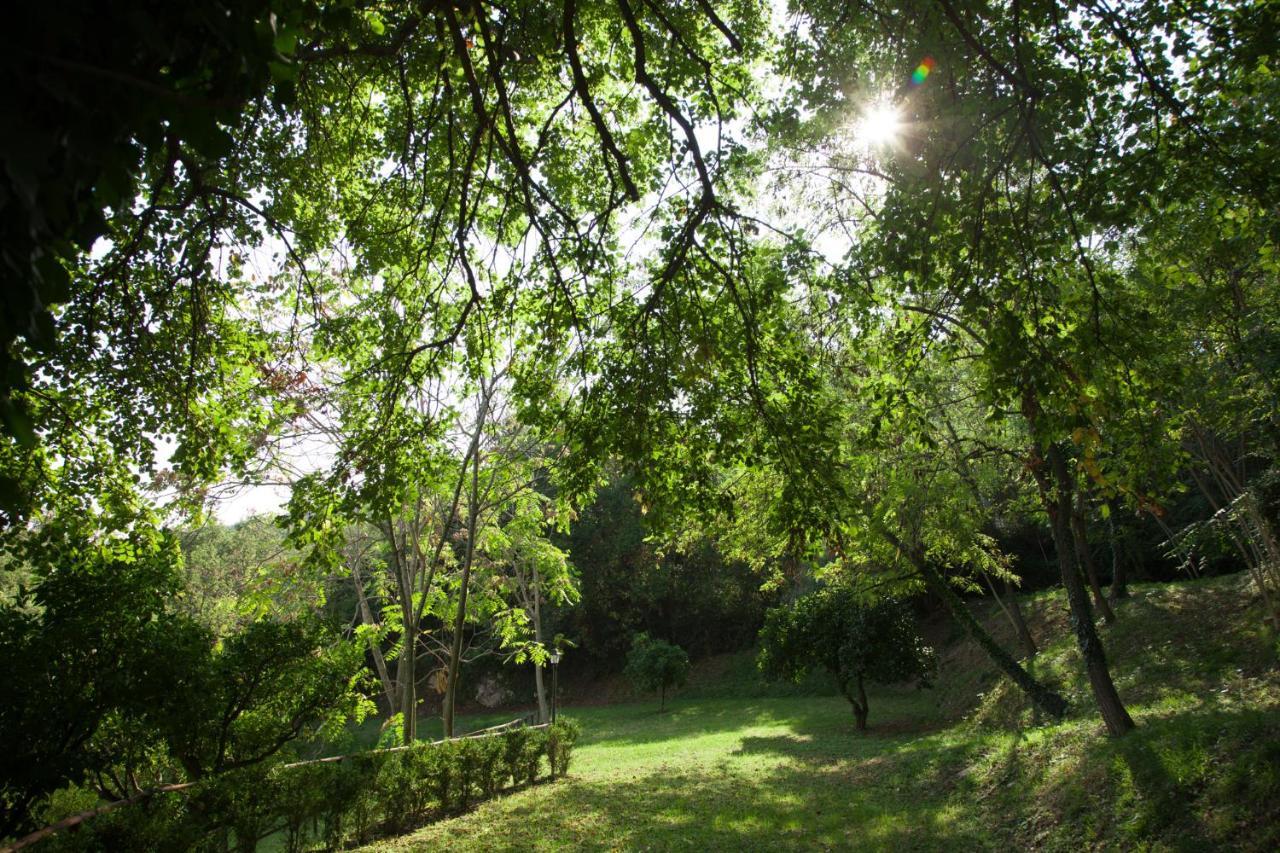 Agriturismo La Vecchia Quercia San Cipriano Picentino Luaran gambar