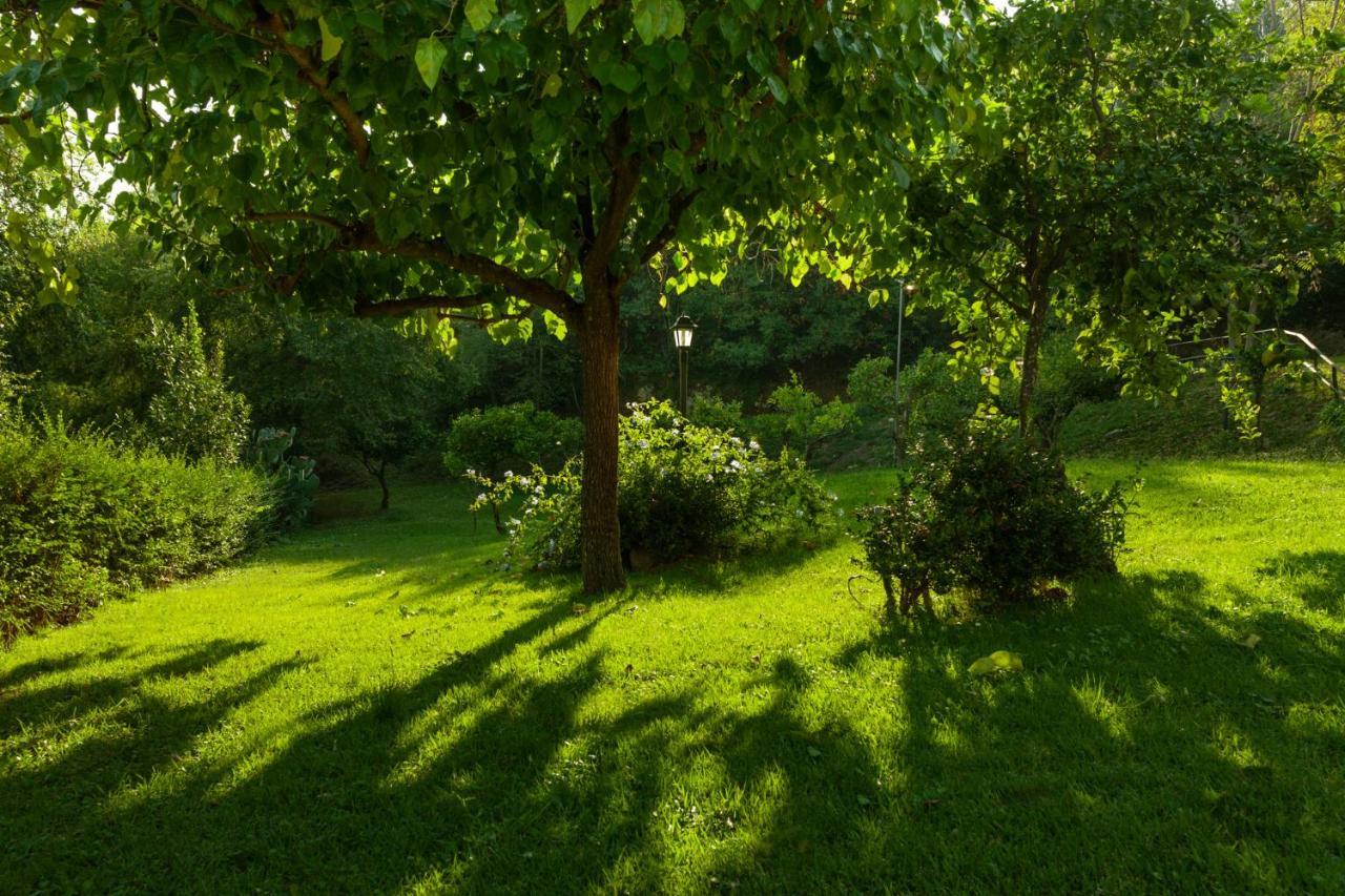 Agriturismo La Vecchia Quercia San Cipriano Picentino Luaran gambar